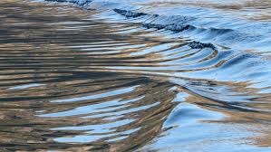 United states magistrate judge sarah netburn has denied the securities and exchange commission (sec) access to ripple labs legal communication. Jack Dorsey S Nft Ripple S Cbdc Experiment Will India Have Crypto Ban