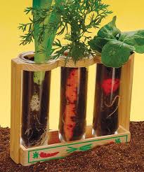 Root Viewer Zulily Kinder Garten Naturkindergarten Kinderbasteleien