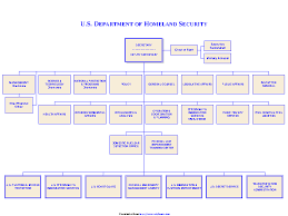 Dhs Organizational Chart 1 Pdfsimpli