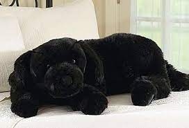 Pin On Black Lab Body Pillow