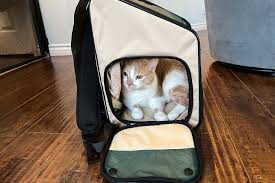 Expandable Cat Backpack Carrier
