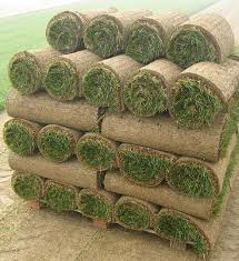 $$number\,of\,pallets = {sod\,area \over 500\,ft^2}$$. Sod Delivery Northern Va Rssy Lorton Va Bluegrass Sod Fescue Sod Zoysia Sod Bermuda Sod Sod Grass Delivery And Pick Up Northern Va Rock Stone And Sand Yard