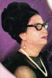 أغاني الراي Mp3 2013 Egyptian Actress Pop Art Portraits Egypt Art