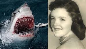 Once in the coastal town of Sharkington Bay, where the waves collided with  the craggy shores and sharks swam in abundance, lived two young siblings  named Tim and Lily. Both were known