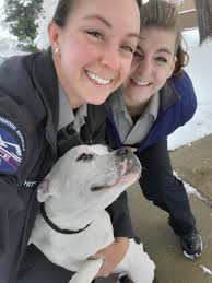 Officer Hanks was flagged down by a citizen today while patrolling. The  woman had found the dog, shivering and wet, early this morning