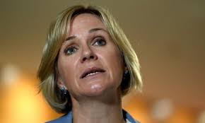 Greens will ruin climate consensus if they sink 43% target, Labor activist  warns