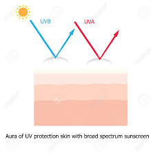 Aura kingdom supports the monobook theme! Infografik Uber Sonnencreme Zum Schutz Der Menschlichen Haut Vor Uva Uvb Ray Mit Aura Von Sonnenschutzprodukt Lizenzfrei Nutzbare Vektorgrafiken Clip Arts Illustrationen Image 55350311