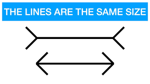 A variation of the same effect (and the most common form in which it is seen today. Psychology Of The Muller Lyer Illusion Youtube