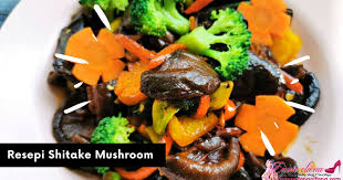 We did not find results for: Resepi Shitake Mushroom Iena Lifestyle Blogger