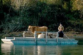It stars john magaro, orion lee, toby jones, ewen bremner, scott shepherd, gary farmer and lily gladstone. First Cow Mooving Picture San Diego Reader