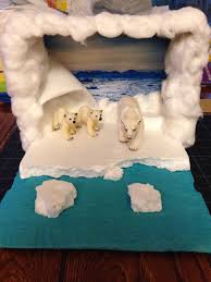Tundra Biome In A Box Project Reed S Polar Bear Diorama Maquetas De Ecosistemas Proyectos De Ciencia Para Ninos Manualidades Educativas