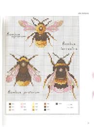 Gallery Ru Foto 14 Insectes Au Point De Croix Kim 2 Euglassia Watsonia Inspiration Perhaps Cross Stitch Animals Cross Stitch Patterns Cross Stitch