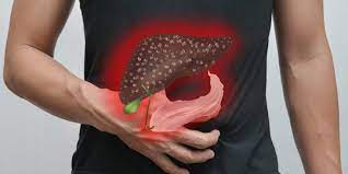 Fungsi cairan empedu yang paling terkenal ialah membantu pencernaan lemak dalam tubuh. 5 Fungsi Empedu Dalam Sistem Pencernaan Manusia Wajib Diketahui Merdeka Com