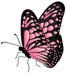 30,672 transparent png illustrations and cipart matching butterfly. Flying Butterfly Pink Transparent Png Clipart Gallery Yopriceville High Quality Images And Transparent Png Free Clipart
