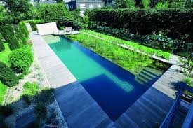 Natur Pools Zinsser Gartengestaltung Schwimmteiche Und Swimmingpools Schwimmteich Naturschwimmbecken Natur Pool