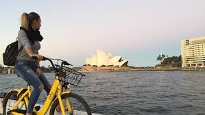 Ijin kerja ini berbentuk dalam sebuah visa kerja. Backpacker Ungkap Pengalaman Buruk Kerja Sambil Wisata Di Australia