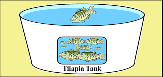 Aquaponics 101 Part 6 Aquaponics Usa