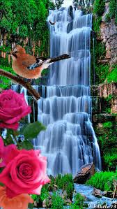 Https Encrypted Tbn0 Gstatic Com Images Q Tbn And9gcre9qcwfut9tiywh12w Puy943v50dhs6lvyg Usqp Cau