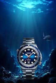 Image result for diving watch