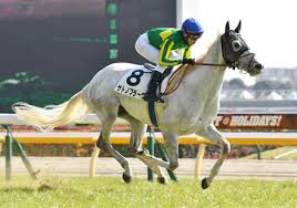 Näytä lisää sivusta 株式会社インターネットイニシアティブ （iij） facebookissa. ç«¶é¦¬äºˆæƒ³ ç¬¬39å›ž ãƒ‹ãƒ¥ãƒ¼ã‚¸ãƒ¼ãƒ©ãƒ³ãƒ‰ãƒˆãƒ­ãƒ•ã‚£ãƒ¼ G2 2021 ã†ã¾ãªã¿ ç«¶é¦¬ã«ã‚…ãƒ¼ã™é€Ÿå ±