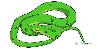 If you end up fighting other snakes make sure you aim for the tails and not the deadly head, you. Snake 5 Illustration Twinkl