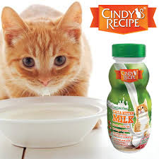 Cindy S Recipe Cat And Milk Inescapable Attraction Most Cats Are Attracted To Milk Products However Do You Know That Cats Are Lactose Intolerance Milk Contains Lactose That May Cause Them To Experience