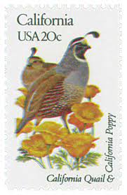 Flies low to the ground. 1982 20c State Birds And Flowers California For Sale At Mystic Stamp Company