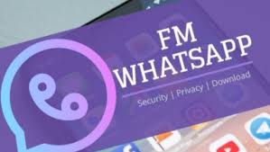 Tips to download fmwhatsapp v9.05 securely on android phone. Download Fmwhatsapp Apk For Android