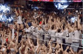 Browse latest funny, amazing,cool, lol, cute,reaction gifs and animated pictures! Wwe 6 Most Unique Fans Who Occupied Wwe Raw With Daniel Bryan