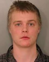 Traffic stop leads to drugs, weapon charges