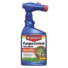Bioadvanced Fungus Control For Lawns Instructions Bioadvanced 32 Oz Ready To Spray Fungus Control For Lawns 701270 The Home Depot