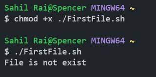 Bash Scripting - How To Check If File Exists - Geeksforgeeks