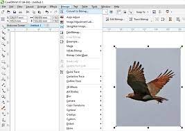 Berikut adalah contoh gambar sebelum dan sesudah dihapus backgroundnya pada coreldraw. 25 Trend Terbaru Cara Hapus Background Foto Di Corel Draw Cosy Gallery