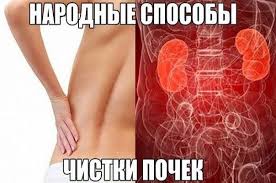 как избавиться от блох у собаки в домашних условиях Vsyo Samoe Interesnoe Narodnyj Sposob Ochistki Pochek Health Remedies Health Natural Remedies