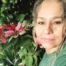 Hola soy típula, NO un mosquito. Me matas sin que yo sea un peligro para  nadie, al contrario, soy una ayuda. No chupo sangre, pero me alimento del  néctar de las flores