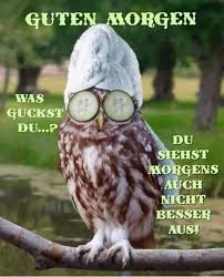 „montag, der tag, an dem du die leute wiedertriffst, die du das ganze wochenende nicht vermisst hast. unsere 20 lustigen bilder mit sprüchen zum wochenende dürfen frei verwendet werden. Pin Von Susanne Doehmann Auf Days Lustige Bilder Von Tieren Witzige Tiere Lustige Bilder