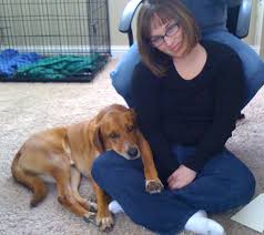 To help your dog become accustomed to the hustle and bustle of public places. How To Train Your Dog To Be An Anxiety Alert Service Dog Natural Dog Owner