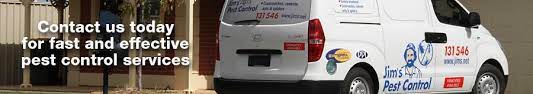 Professional bee removal and pest control services by licensed technicians. Pest Control Sydney By Jim S Termite Pest Control 131 546
