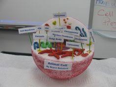 Check spelling or type a new query. Animal Cell Model Ideas For Your Science Project Easy And Creative Cell Model Project Cell Model Animal Cell Model Project