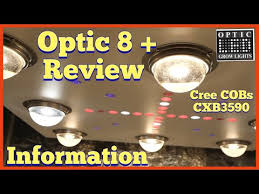 Enclosed in a plastic housing to make it waterproof and with a belt clip attached. Video Cree Led Grow Lights