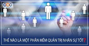 Triển khai phần mềm quản trị nhân sự trong doanh nghiệp