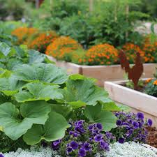 The home depot, inc., commonly known as home depot, is the largest home the home depot began to branch out of georgia to florida in 1981 with stores opening in to enter the dallas market the home depot acquired bowater home center from bowater inc. Plan The Year With The Home Depot Garden Club Calendar The Home Depot