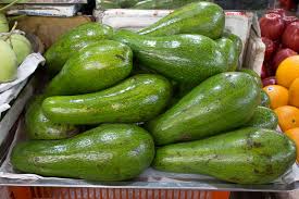 Image result for Persea