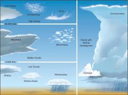 Cloud Reading Guides South 7th Science
