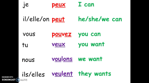 They all have a general meaning and some have more meanings, based on the context they are used in. French Modal Verbs Youtube