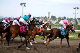 How Much Do Jockeys Get Paid Horse Lover S Math