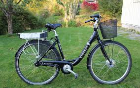 9 Gunstige E Bikes Auf Amazon Vergleich Alles Ebike At