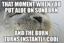 I M A Lobster Now Album On Imgur
