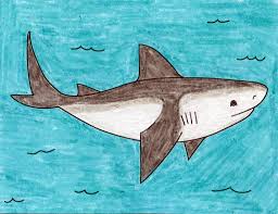 How to draw a shark step by step. How To Draw A Shark Art Projects For Kids