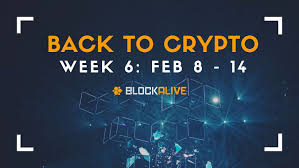 Why bitcoin stocks skyrocketed today. Back To Crypto Week 6 Hot Cryptocurrency News Rise Prices
